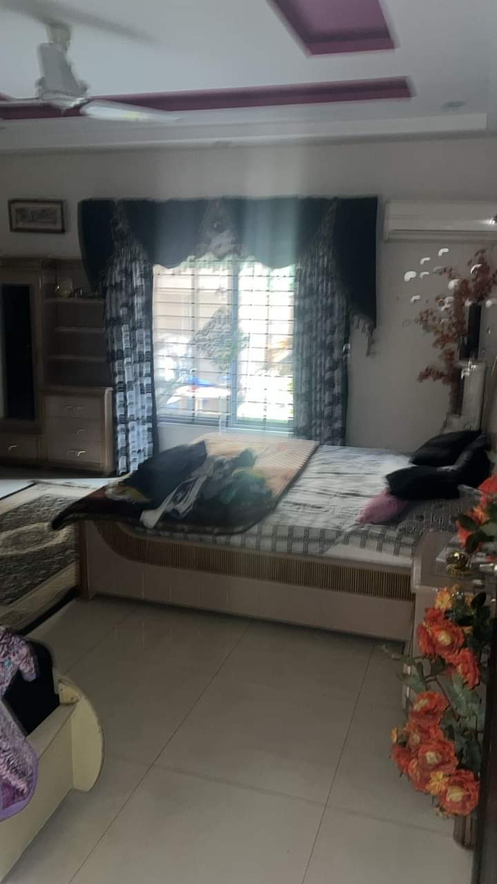 FB_IMG_1732894828032