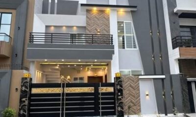 FB_IMG_1732986420219