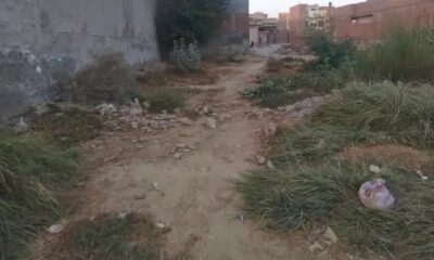 Screenshot_2024-11-26-22-37-08-87_a23b203fd3aafc6dcb84e438dda678b6