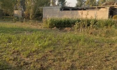 Screenshot_20241101-113939_Facebook