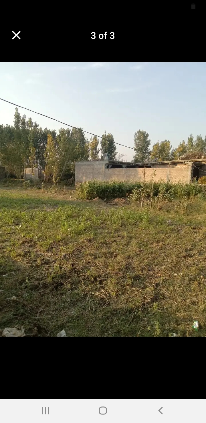 Screenshot_20241101-113939_Facebook