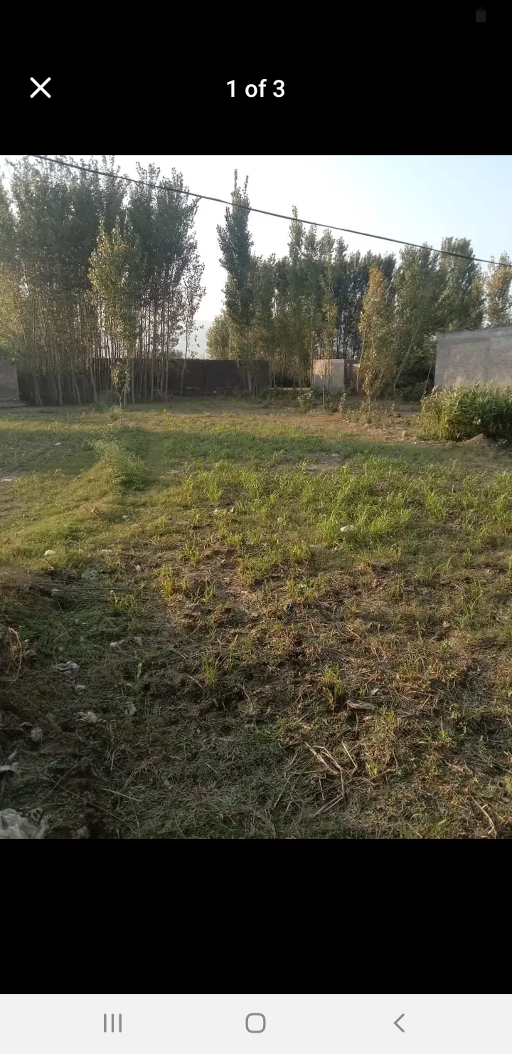 Screenshot_20241101-113944_Facebook