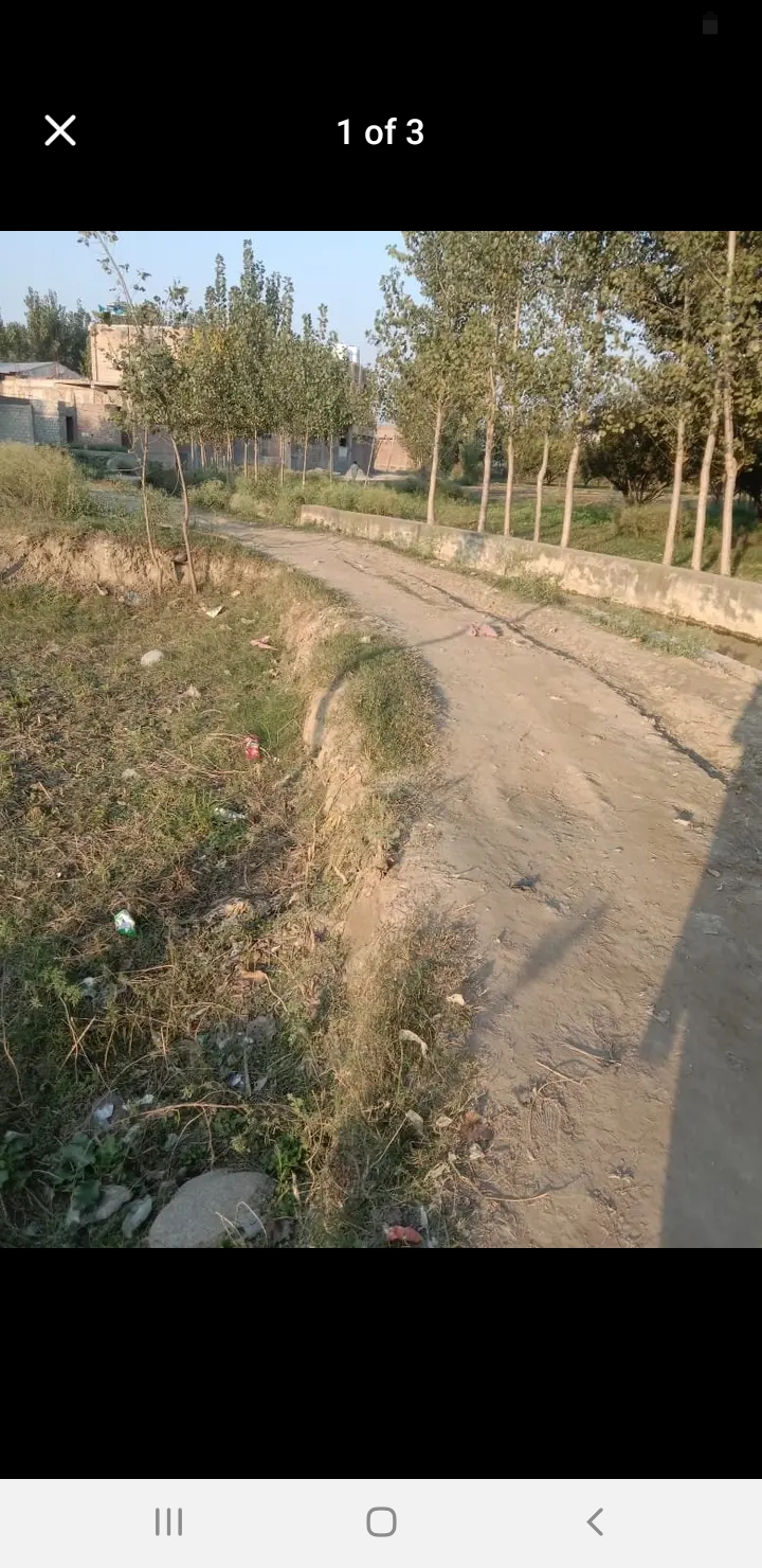 Screenshot_20241101-125955_Facebook