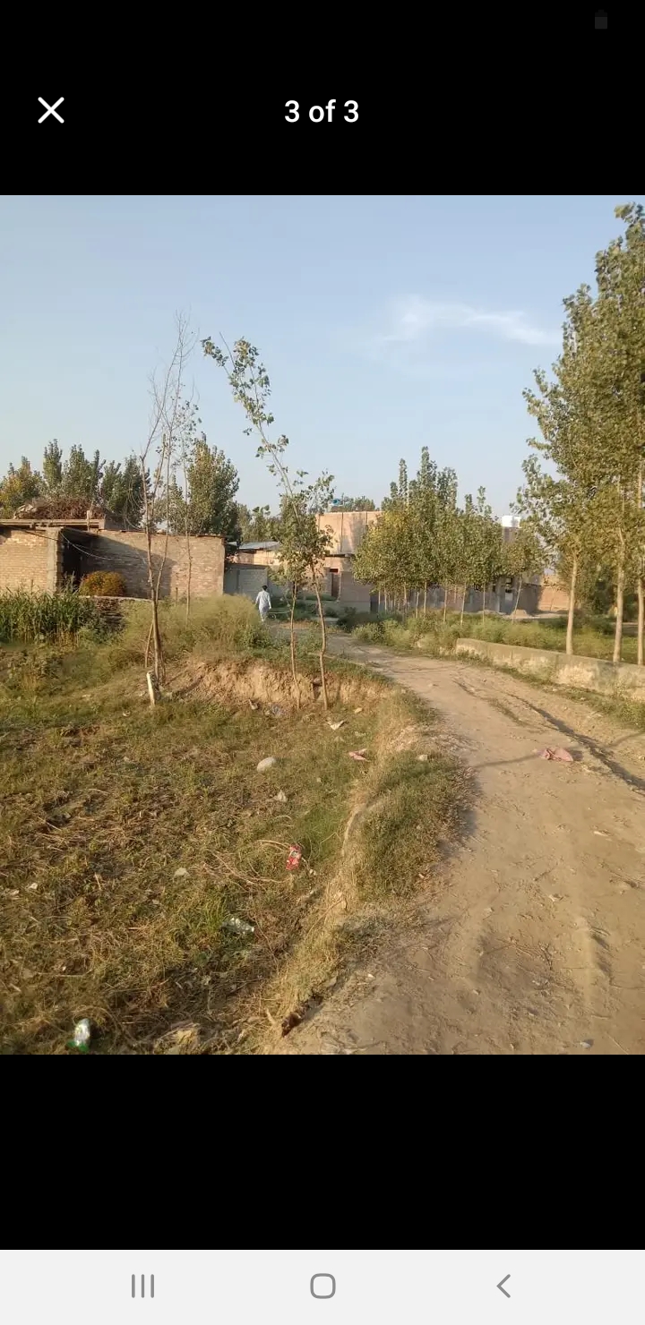 Screenshot_20241101-125958_Facebook