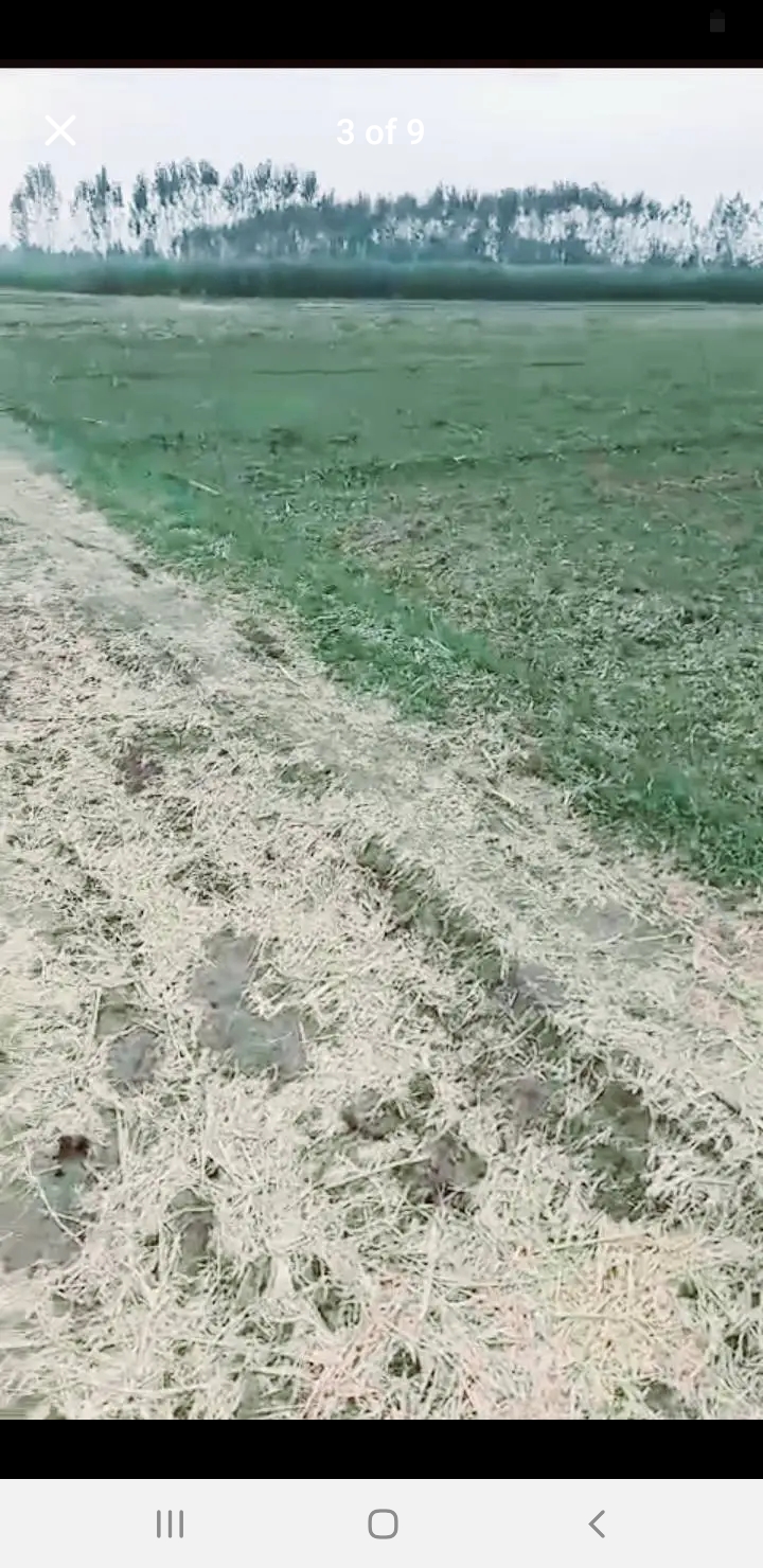 Screenshot_20241101-135034_Facebook