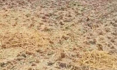 Screenshot_20241101-135037_Facebook