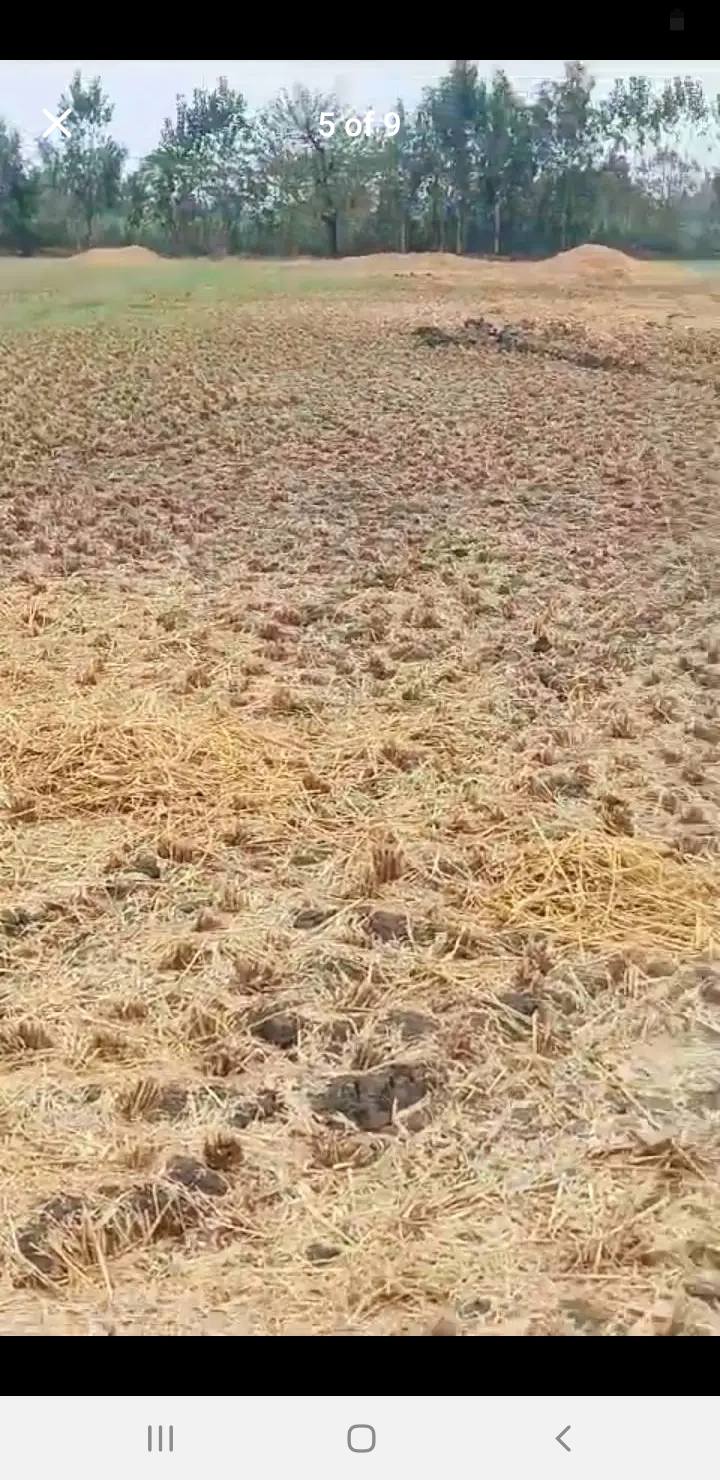 Screenshot_20241101-135037_Facebook