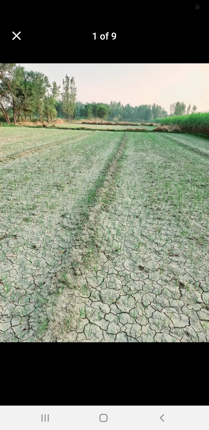 Screenshot_20241101-191719_Facebook