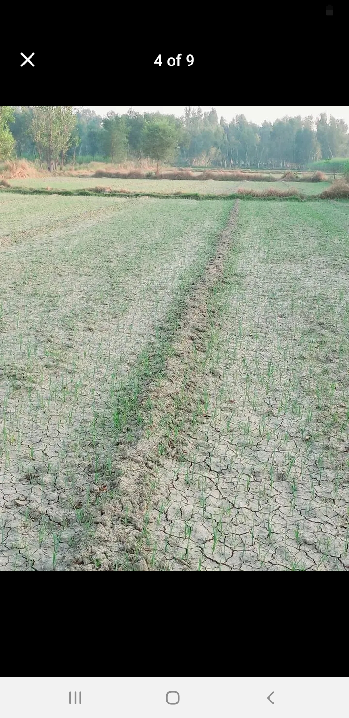 Screenshot_20241101-191730_Facebook