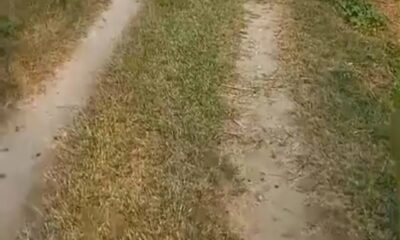 Screenshot_20241101-191733_Facebook