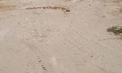 Screenshot_20241114-103740_Facebook