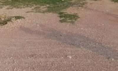 Screenshot_20241114-105002_Facebook