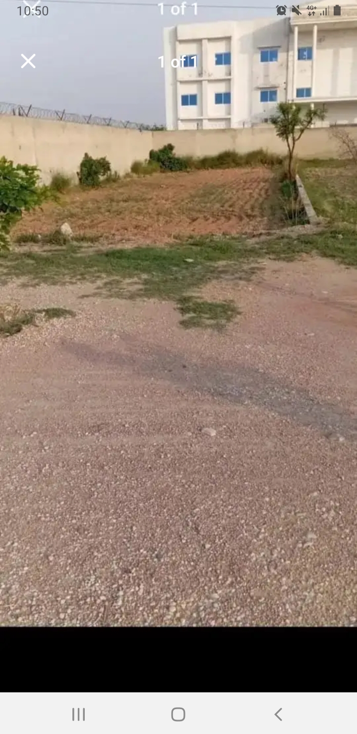 Screenshot_20241114-105002_Facebook