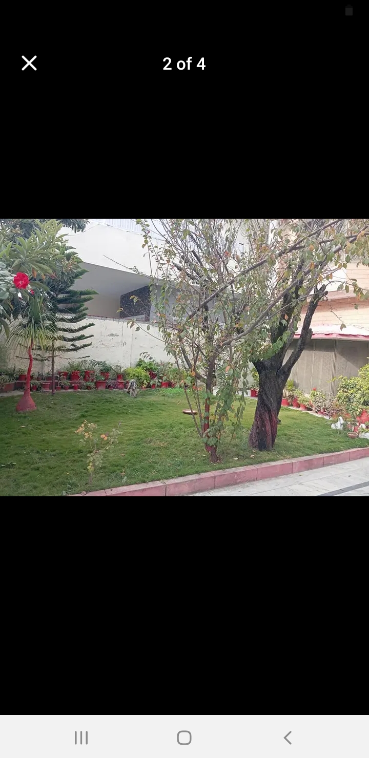 Screenshot_20241114-123347_Facebook