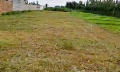 Screenshot_20241118-052459_Facebook