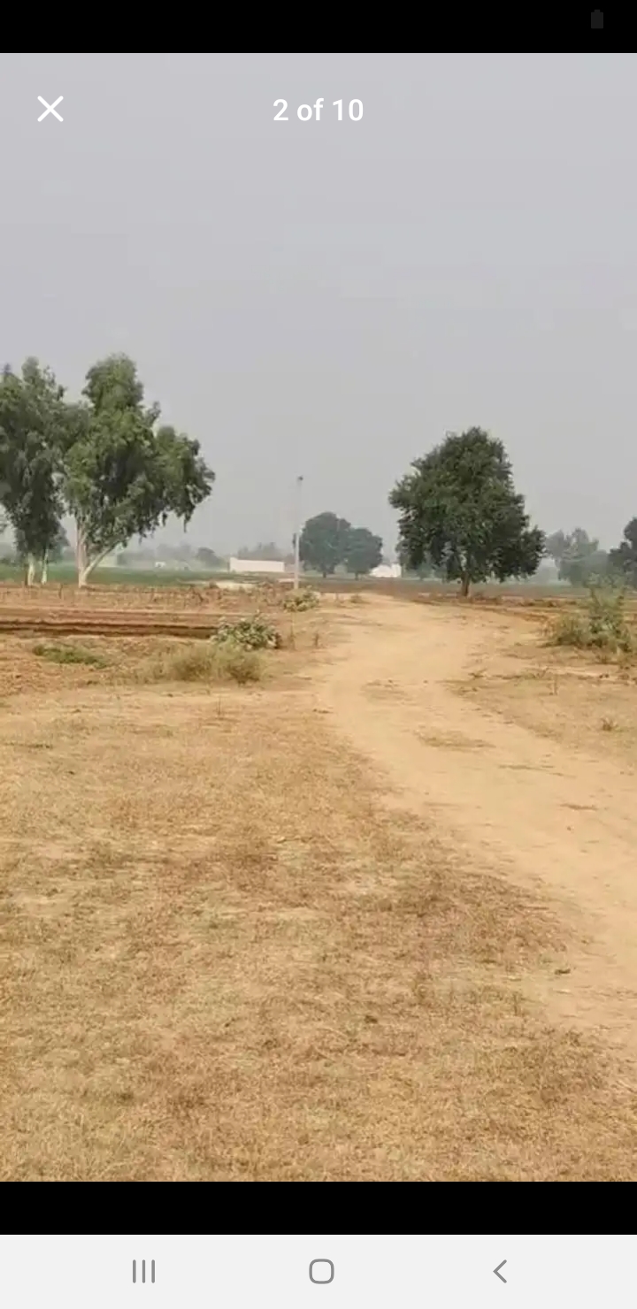 Screenshot_20241118-054231_Facebook