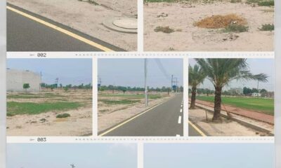 WhatsApp-Image-2024-11-07-at-01.28.26_d10be87c