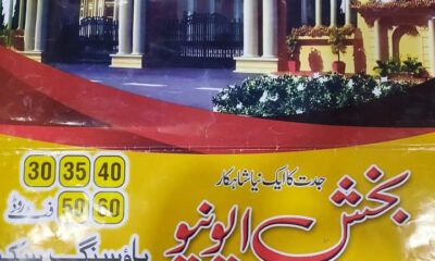 WhatsApp-Image-2024-11-11-at-19.33.13_619d0fbc