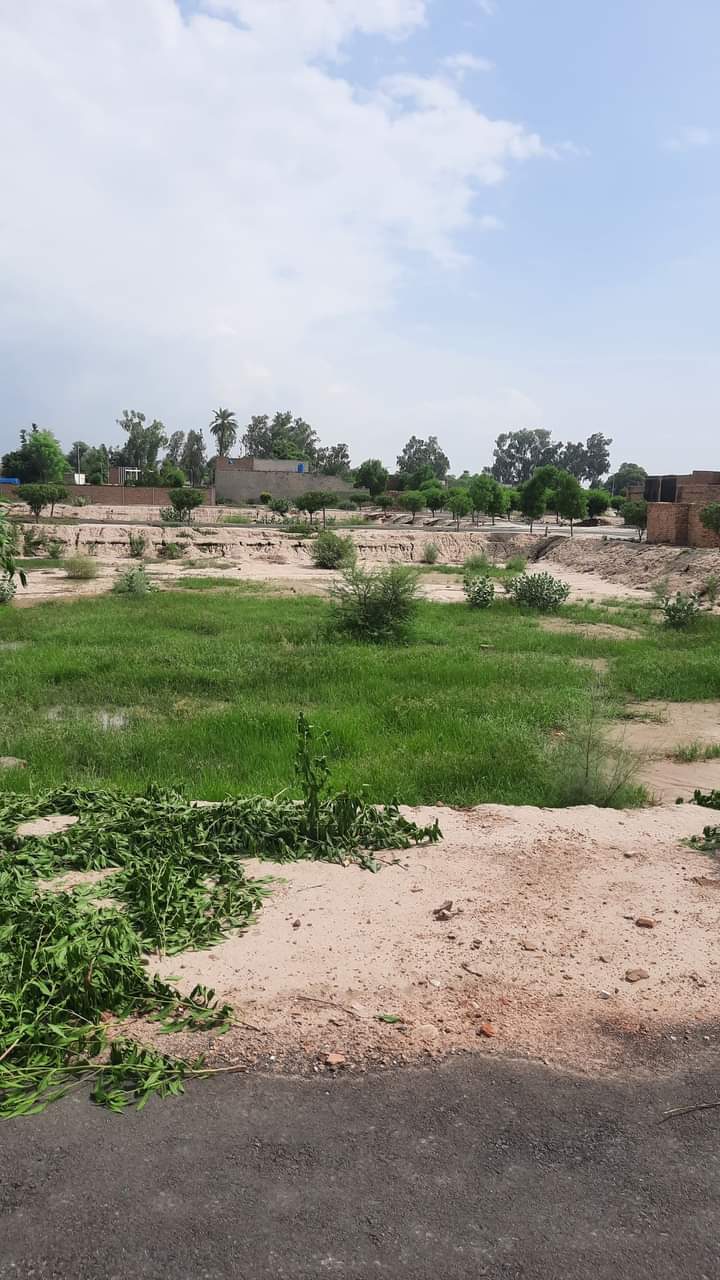 WhatsApp-Image-2024-11-11-at-19.41.19_06a736b1