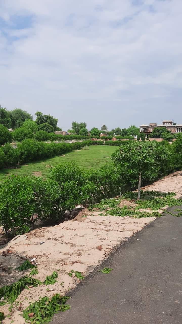 WhatsApp-Image-2024-11-11-at-19.41.19_f5437338