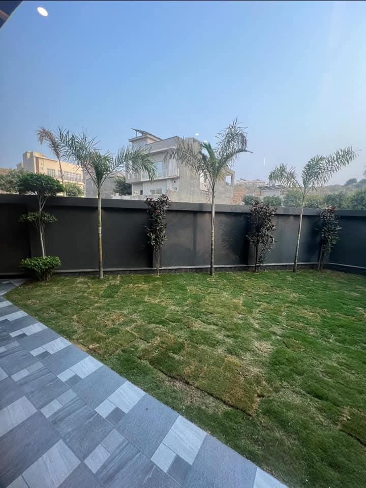 WhatsApp-Image-2024-11-18-at-22.17.05_3314d8cc