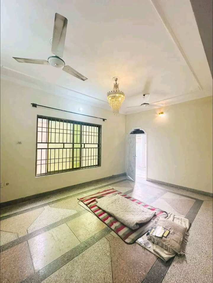 WhatsApp-Image-2024-11-18-at-22.32.46_f7b92502