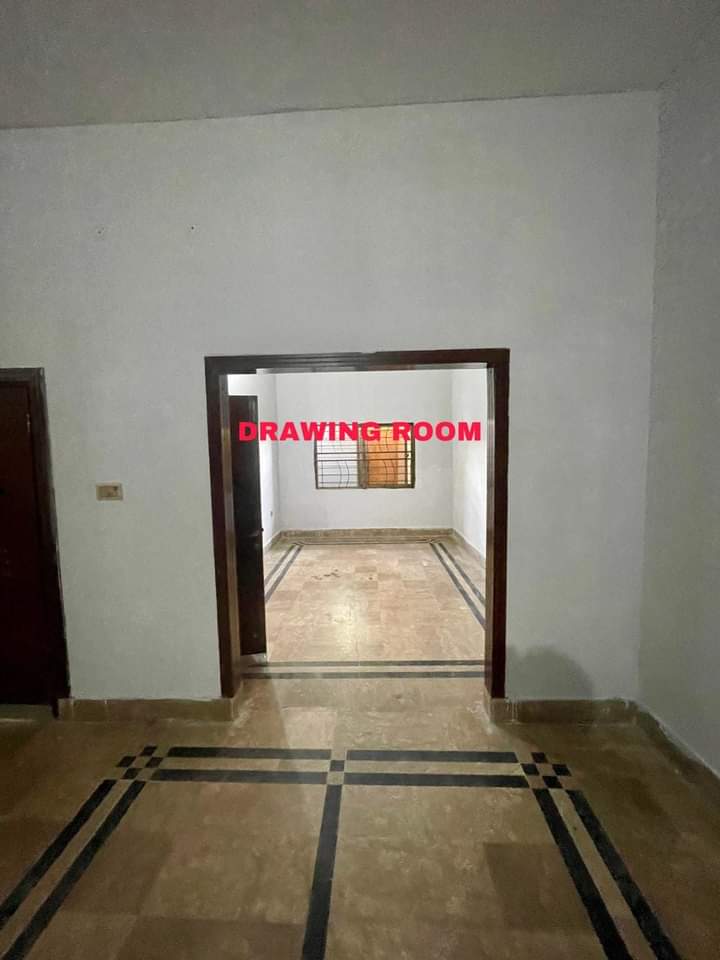 FB_IMG_1733080128774