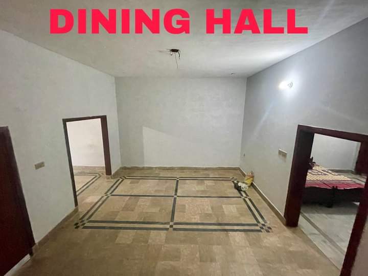 FB_IMG_1733080138042