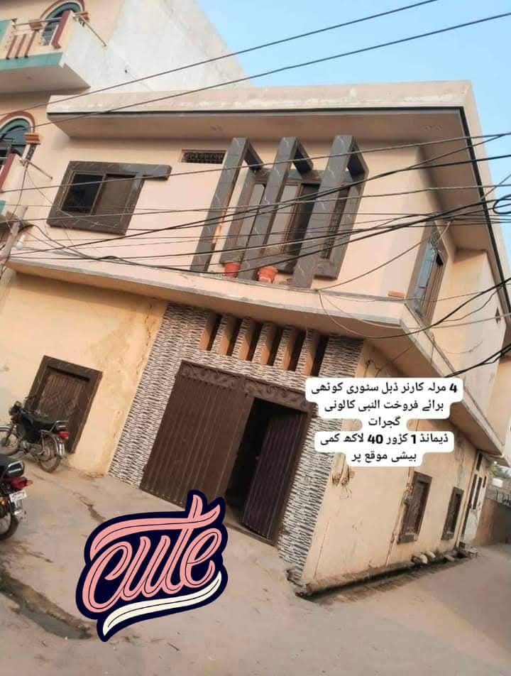 FB_IMG_1733080526042