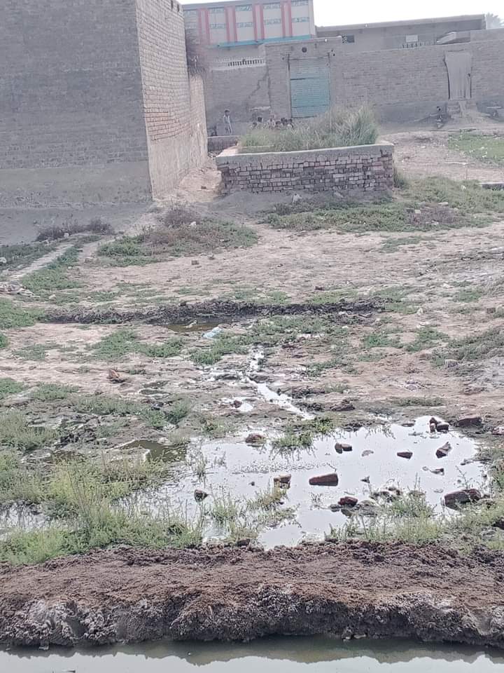 FB_IMG_1733159490077