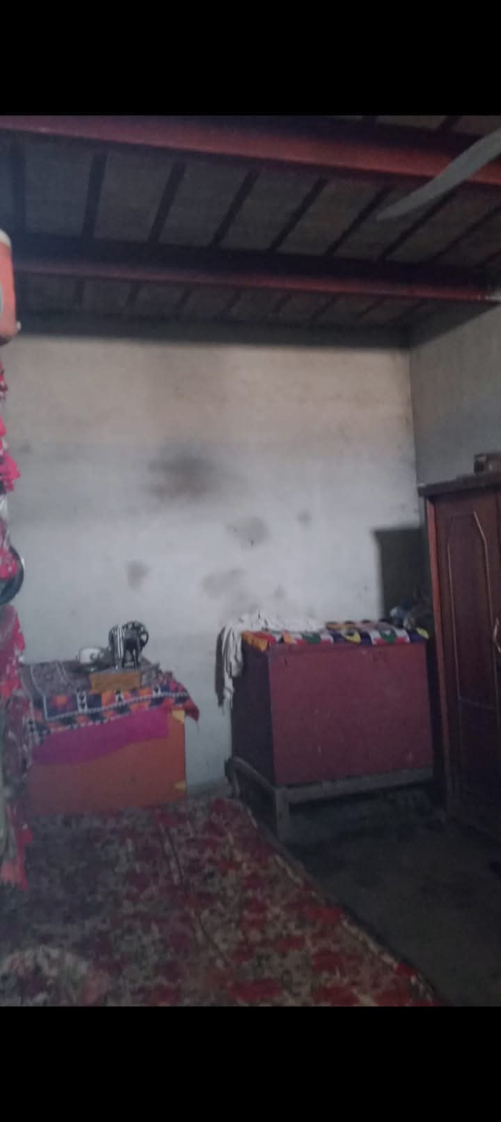 FB_IMG_1733161861237