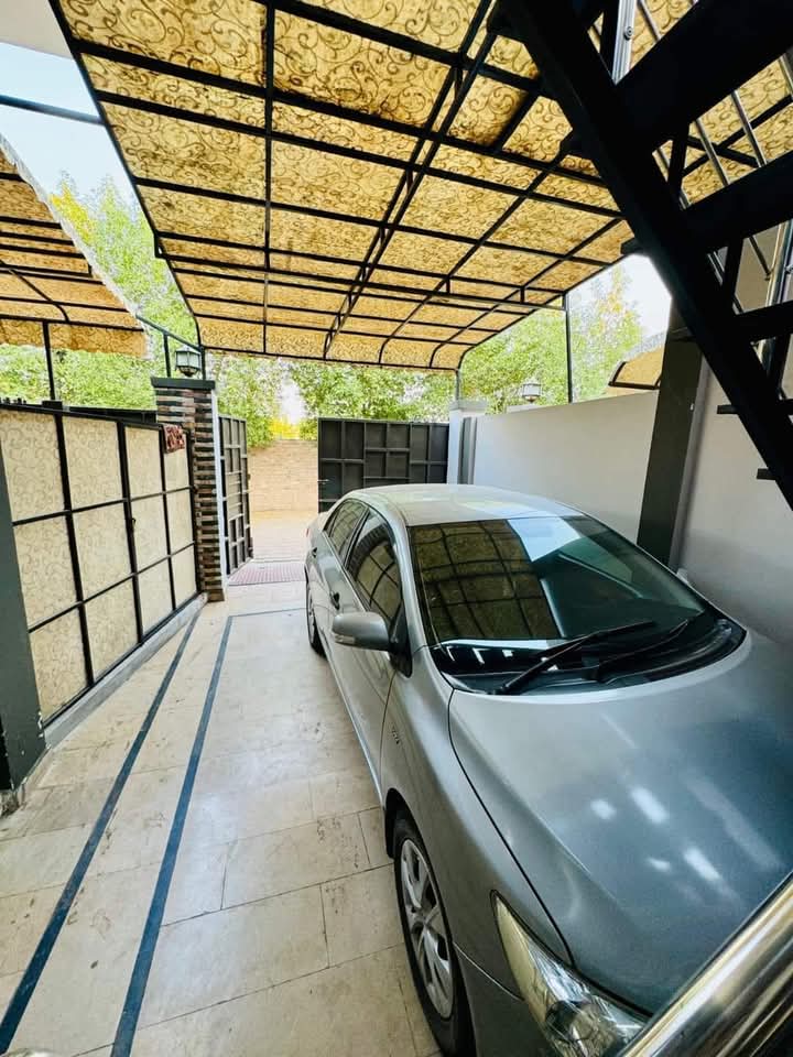 FB_IMG_1733315124477