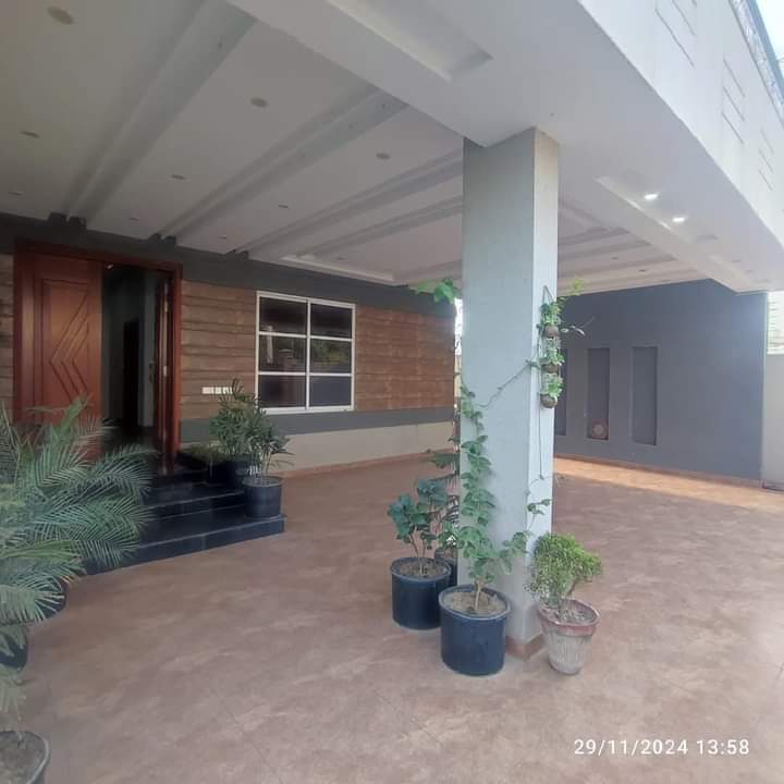 FB_IMG_1733318802640