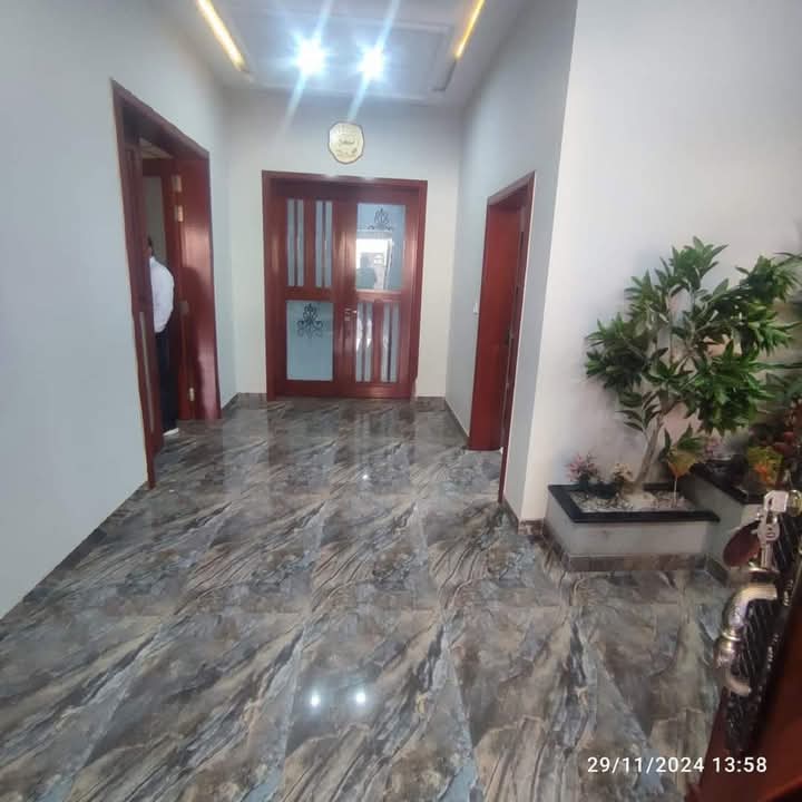 FB_IMG_1733318812617