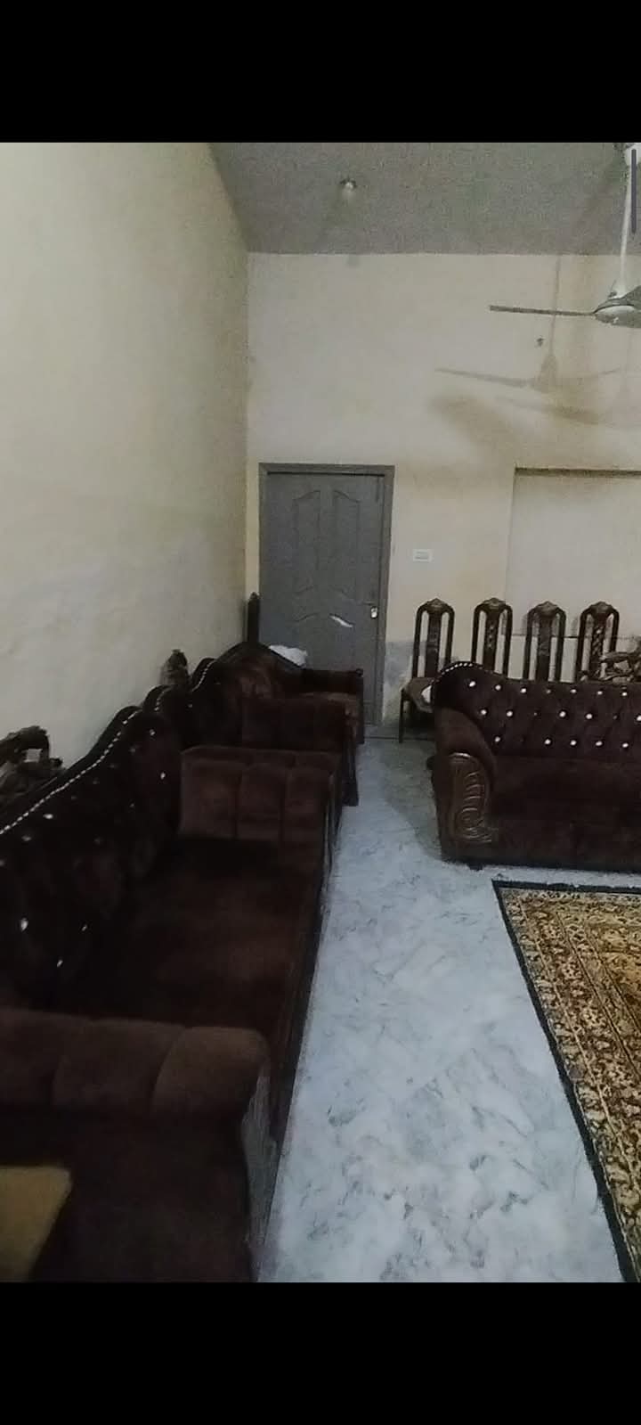 FB_IMG_1733482154062