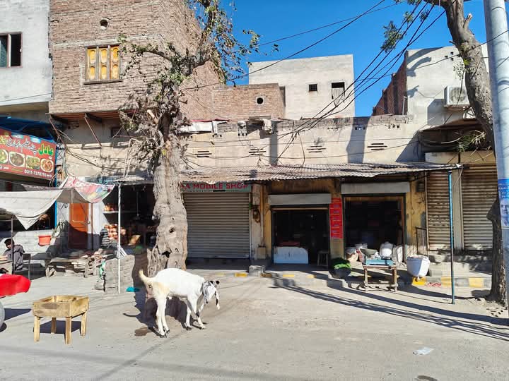 FB_IMG_1733482180663