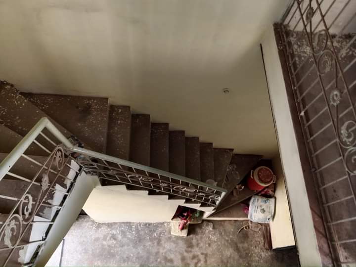 FB_IMG_1733489337468