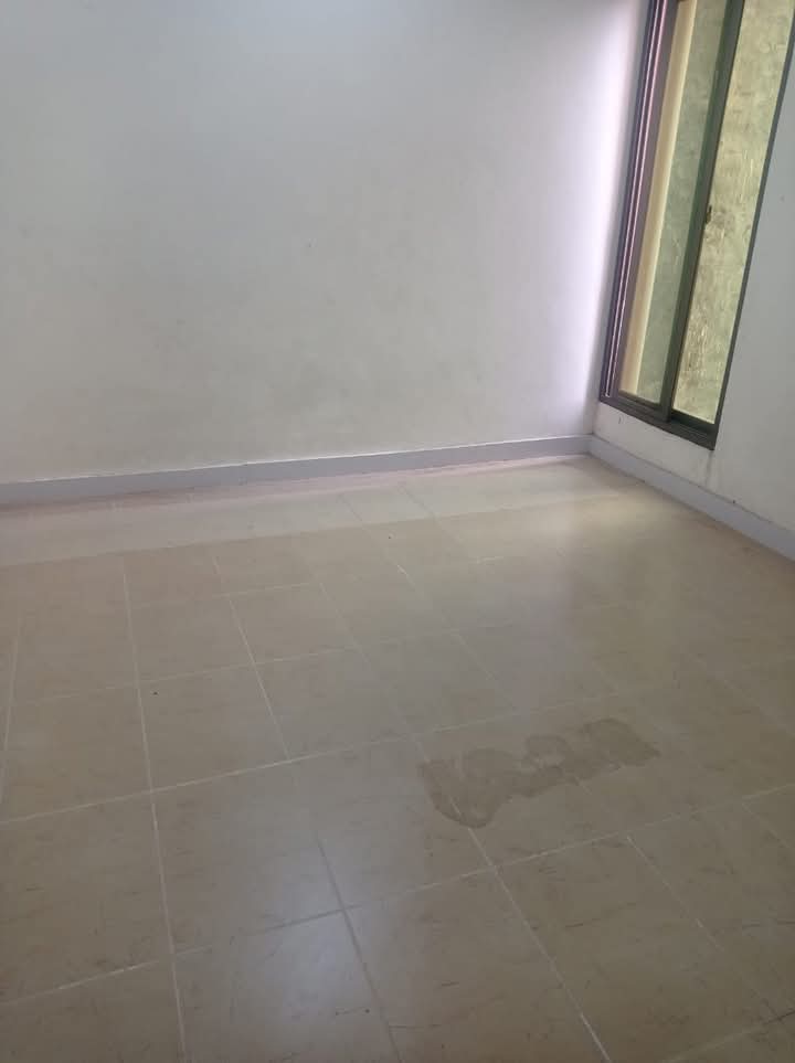 FB_IMG_1733496890366