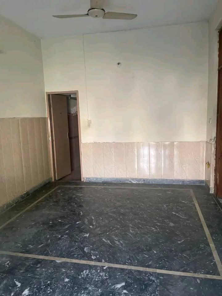 FB_IMG_1733504309391