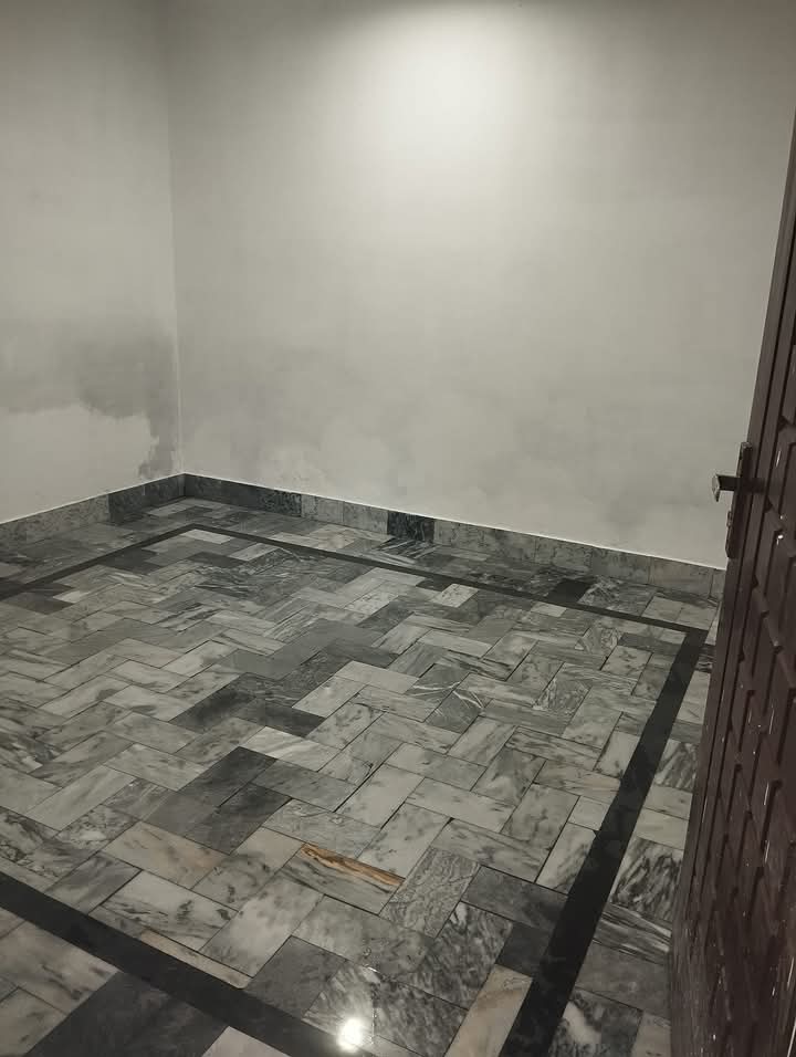 FB_IMG_1733538091576