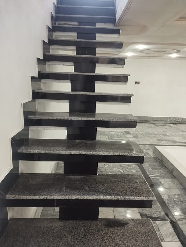 FB_IMG_1733538094965