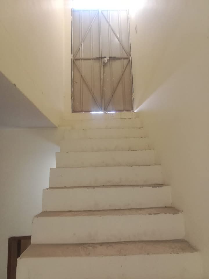 FB_IMG_1733552600391