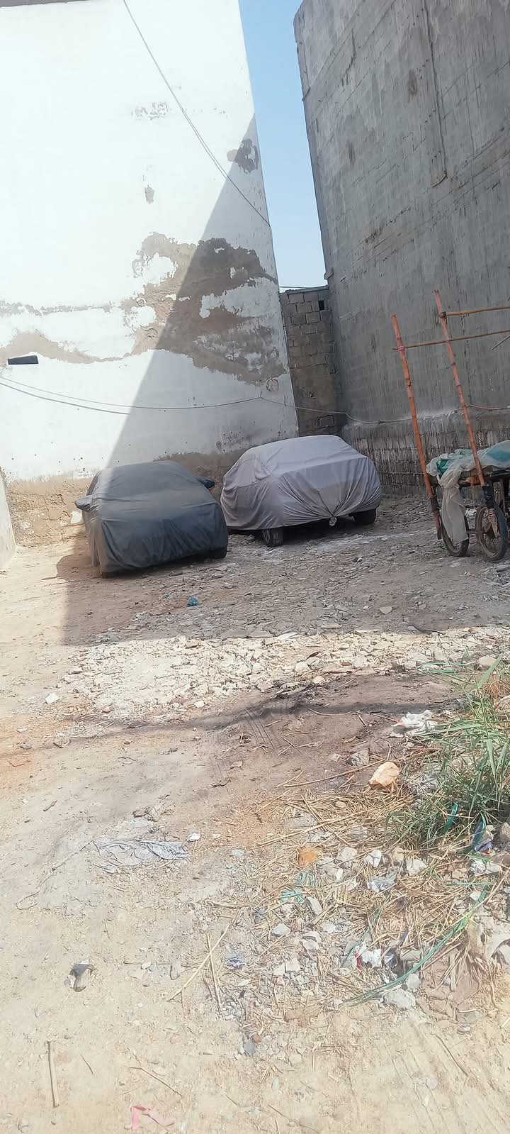 FB_IMG_1733584633032