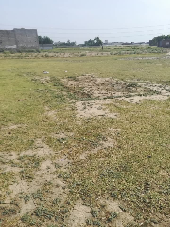 FB_IMG_1733709939433