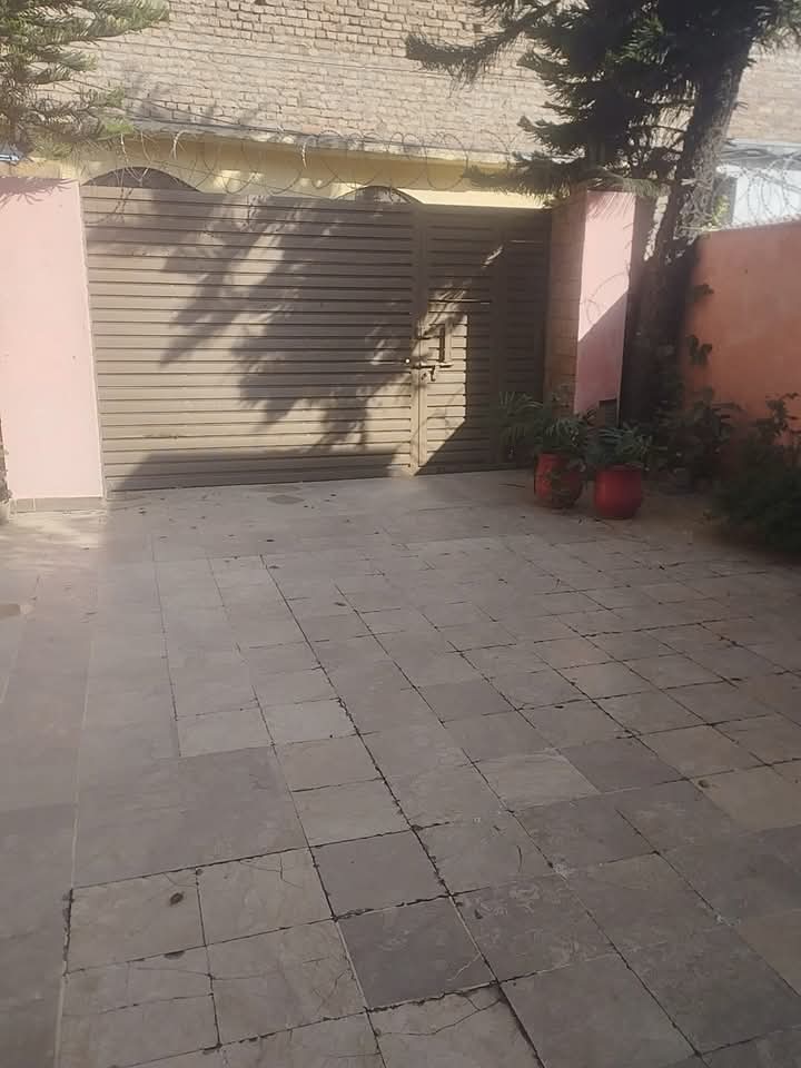 FB_IMG_1733773577218