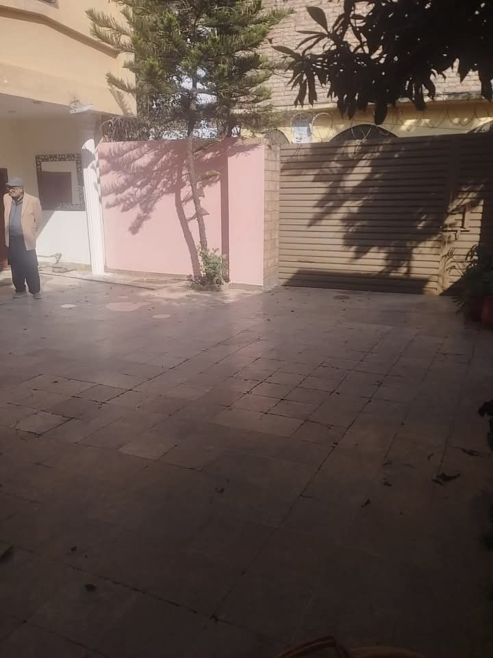 FB_IMG_1733773579089