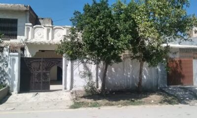 FB_IMG_1733881486986