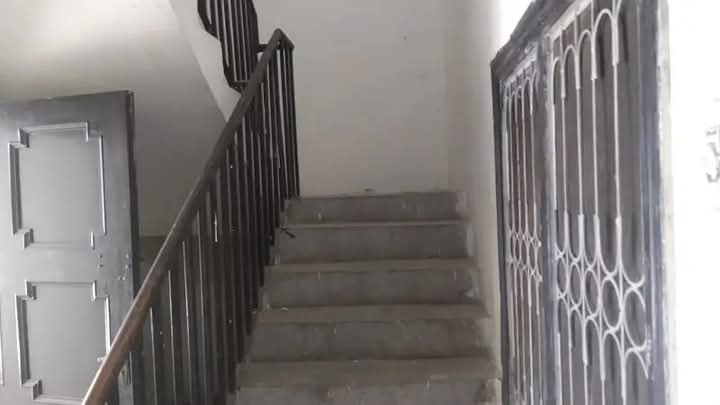 FB_IMG_1733881499750