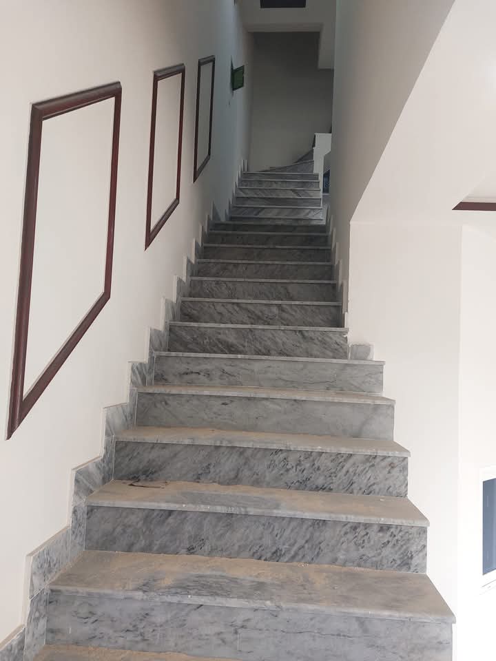 FB_IMG_1734096631032