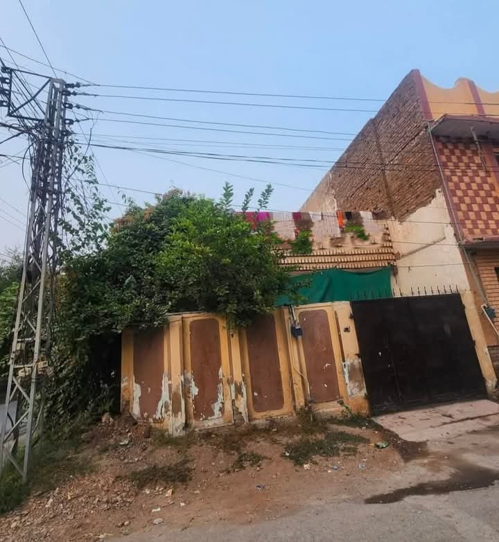 FB_IMG_1734456979629